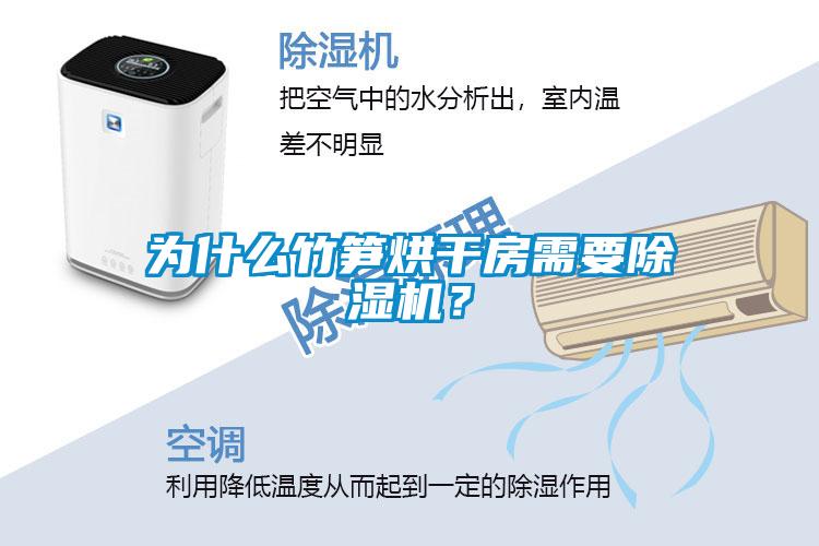 為什么竹筍烘干房需要除濕機？