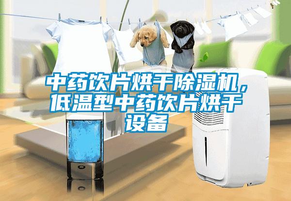 中藥飲片烘干除濕機，低溫型中藥飲片烘干設(shè)備