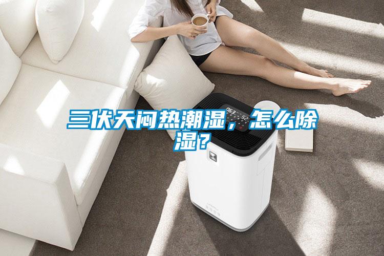 三伏天悶熱潮濕，怎么除濕？
