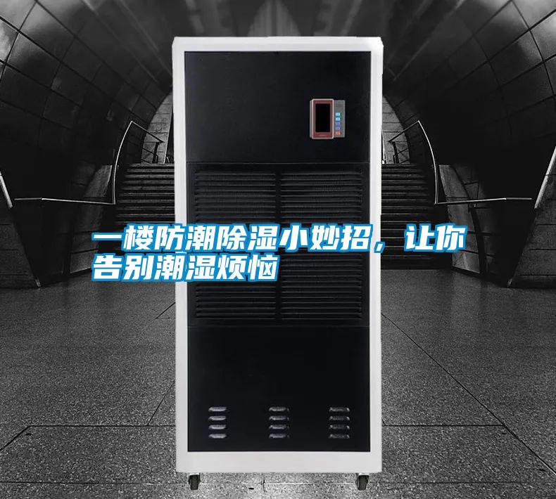 一樓防潮除濕小妙招，讓你告別潮濕煩惱