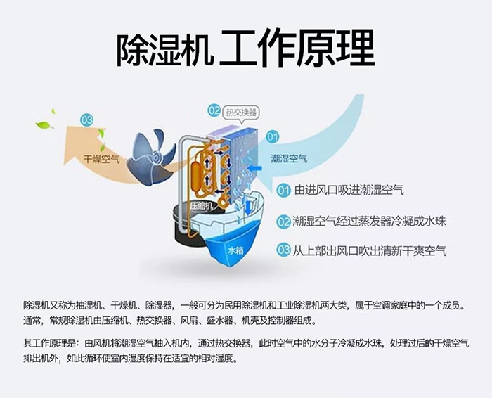 潮濕天氣狗最容易患上這種毛病！三個注意事項，鏟屎官一定要看看