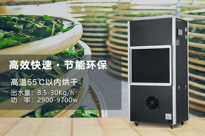 潮濕天氣來襲，螨蟲爆滿床！