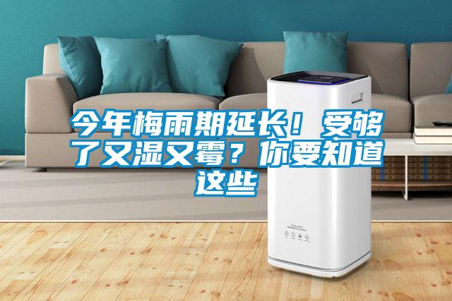 今年梅雨期延長！受夠了又濕又霉？你要知道這些