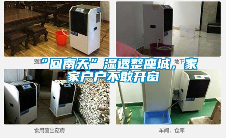 “回南天”濕透整座城，家家戶戶不敢開窗