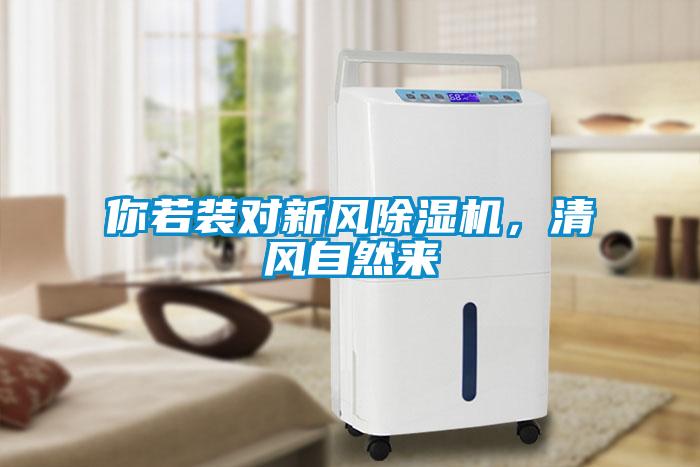 你若裝對新風除濕機，清風自然來