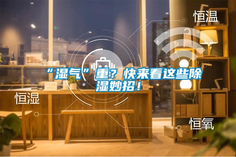 “濕氣”重？快來(lái)看這些除濕妙招！