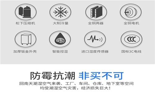 為什么房子潮濕會有危害？