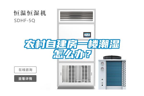 農(nóng)村自建房一樓潮濕怎么辦？