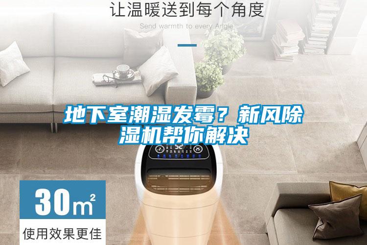 地下室潮濕發(fā)霉？新風除濕機幫你解決