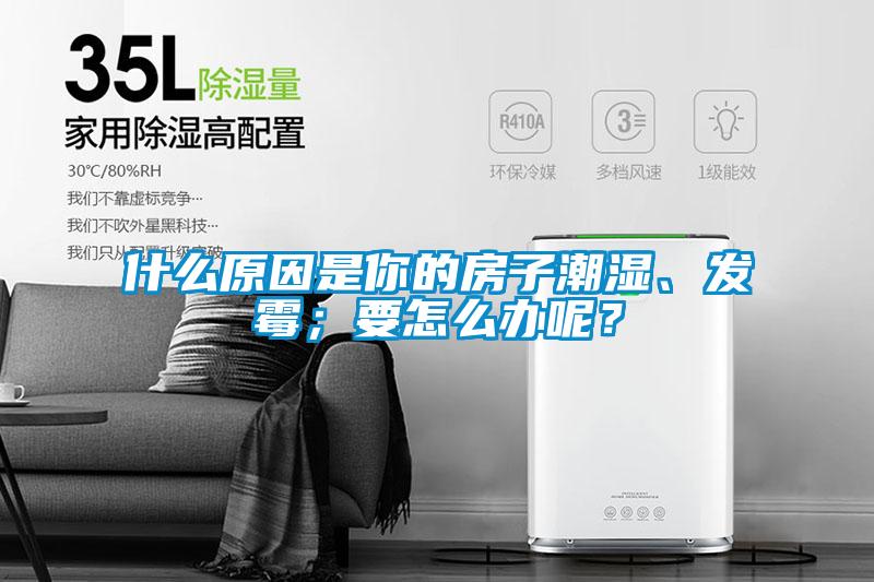 什么原因是你的房子潮濕、發(fā)霉；要怎么辦呢？