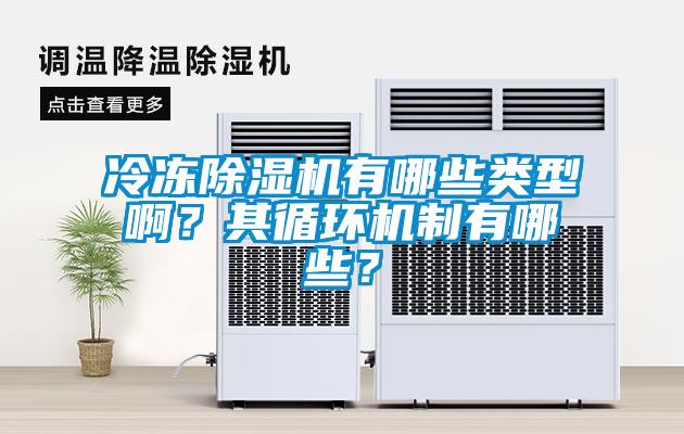 冷凍除濕機(jī)有哪些類型??？其循環(huán)機(jī)制有哪些？