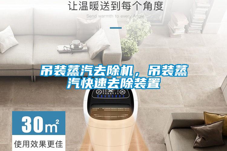 吊裝蒸汽去除機，吊裝蒸汽快速去除裝置