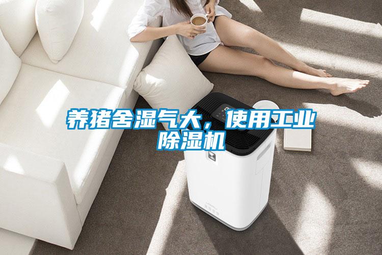 養(yǎng)豬舍濕氣大，使用工業(yè)除濕機(jī)