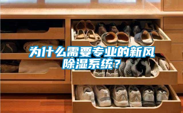 為什么需要專業(yè)的新風(fēng)除濕系統(tǒng)？