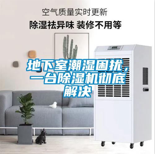 地下室潮濕困擾，一臺除濕機徹底解決