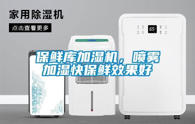 保鮮庫加濕機(jī)，噴霧加濕快保鮮效果好