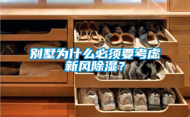 別墅為什么必須要考慮新風除濕？