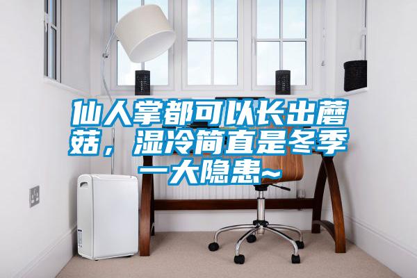 仙人掌都可以長出蘑菇，濕冷簡直是冬季一大隱患~