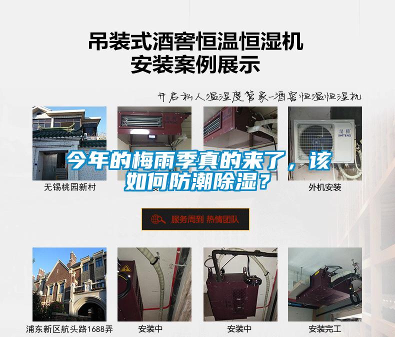 今年的梅雨季真的來了，該如何防潮除濕？