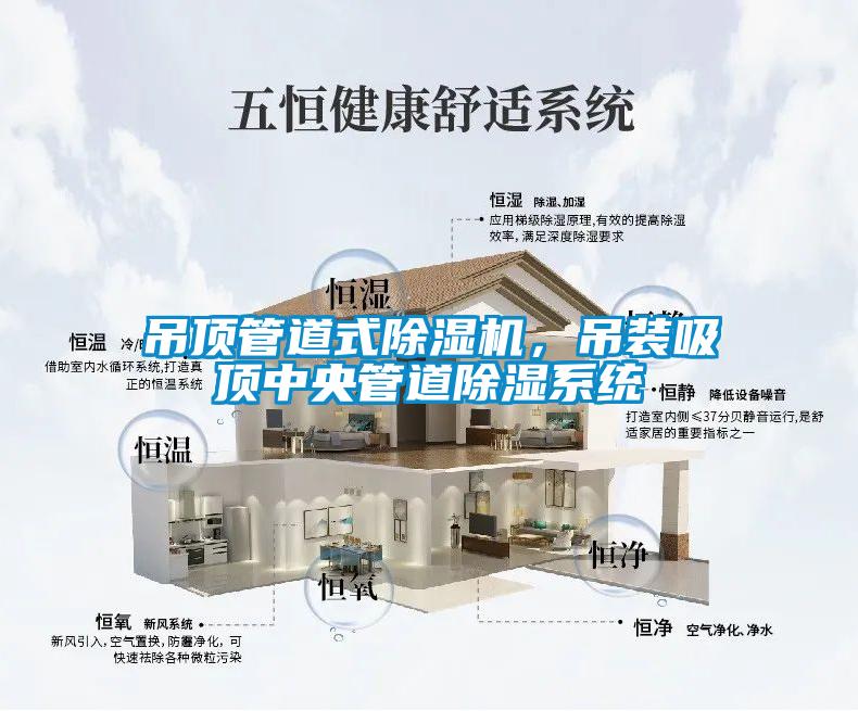 吊頂管道式除濕機(jī)，吊裝吸頂中央管道除濕系統(tǒng)