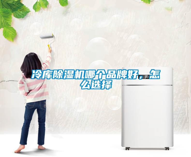 冷庫除濕機(jī)哪個(gè)品牌好，怎么選擇