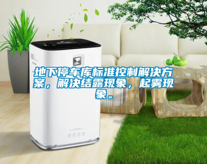 地下停車庫標準控制解決方案，解決結(jié)露現(xiàn)象，起霧現(xiàn)象。