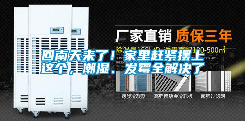 回南天來了！家里趕緊擺上這個，潮濕、發(fā)霉全解決了