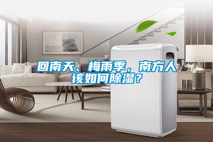 回南天、梅雨季，南方人該如何除濕？