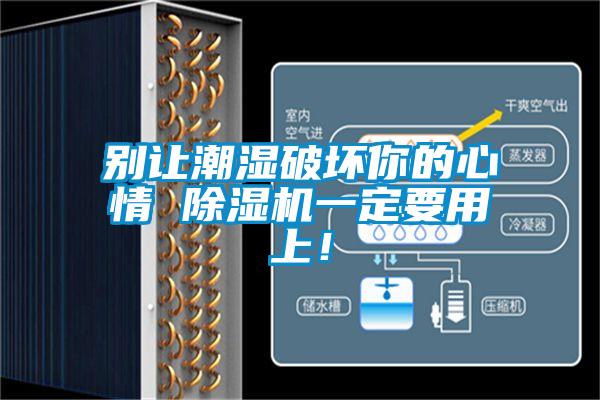 別讓潮濕破壞你的心情 除濕機(jī)一定要用上！