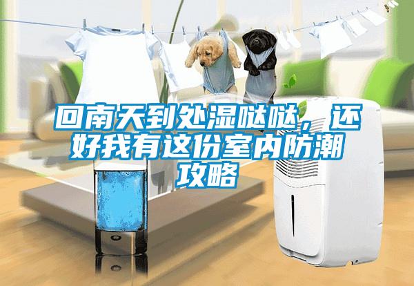 回南天到處濕噠噠，還好我有這份室內(nèi)防潮攻略