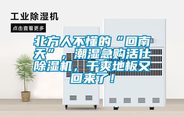 北方人不懂的“回南天”，潮濕急購活仕除濕機(jī)，干爽地板又回來了！