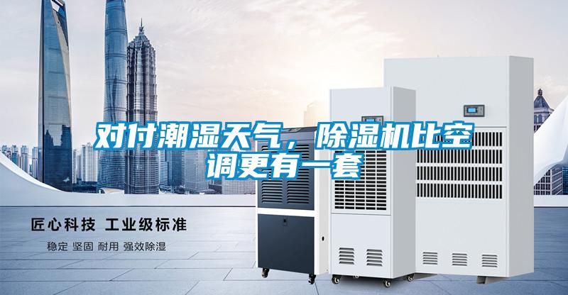 對付潮濕天氣，除濕機比空調(diào)更有一套