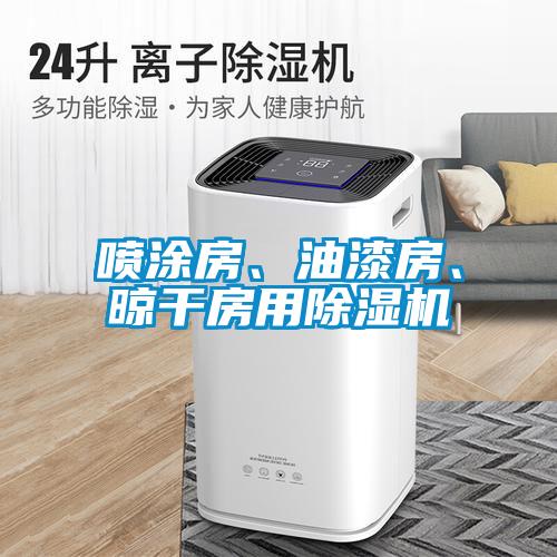 噴涂房、油漆房、晾干房用除濕機