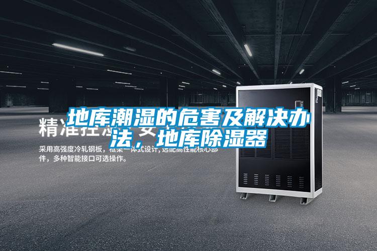地庫潮濕的危害及解決辦法，地庫除濕器