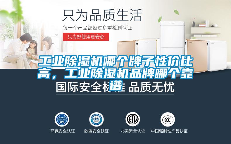 工業(yè)除濕機(jī)哪個牌子性價比高，工業(yè)除濕機(jī)品牌哪個靠譜