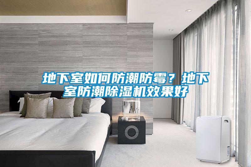 地下室如何防潮防霉？地下室防潮除濕機(jī)效果好