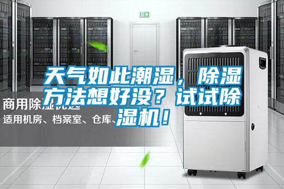 天氣如此潮濕，除濕方法想好沒？試試除濕機(jī)！
