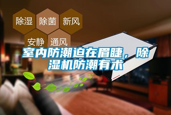 室內(nèi)防潮迫在眉睫，除濕機防潮有術