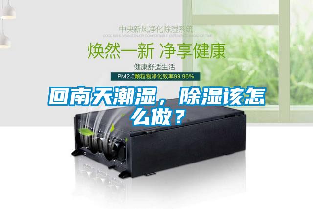 回南天潮濕，除濕該怎么做？