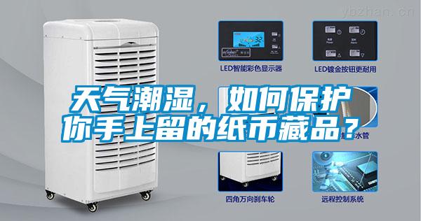 天氣潮濕，如何保護(hù)你手上留的紙幣藏品？
