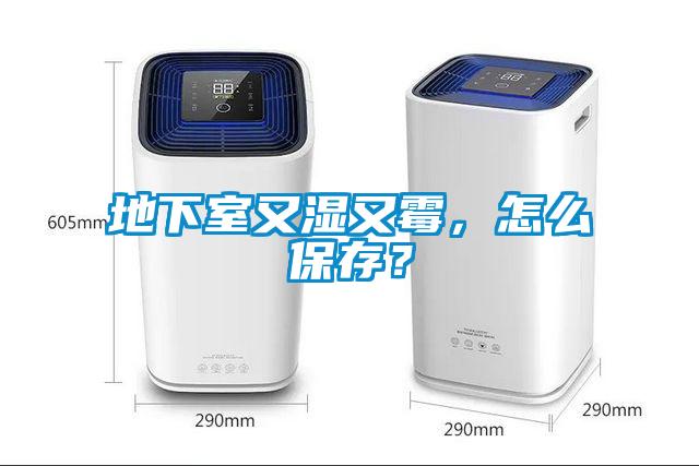 地下室又濕又霉，怎么保存？