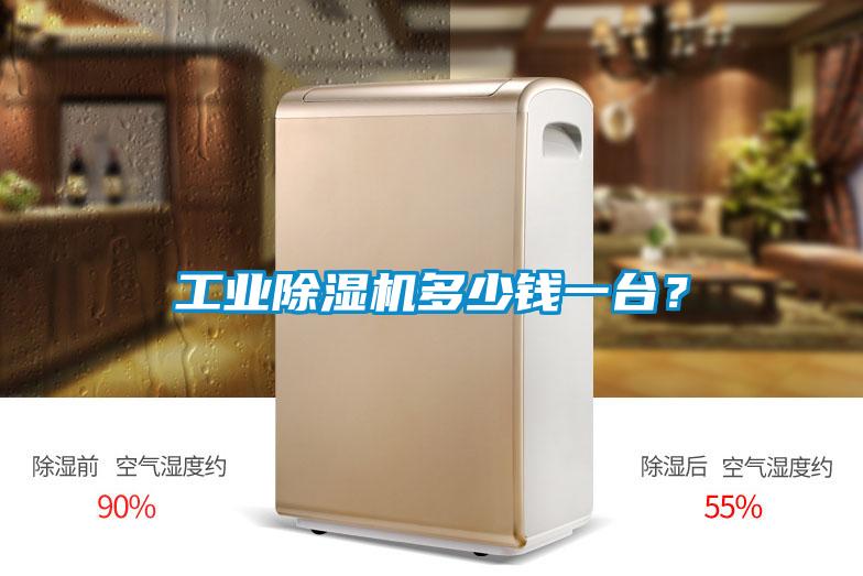 工業(yè)除濕機(jī)多少錢一臺？