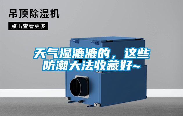 天氣濕漉漉的，這些防潮大法收藏好~