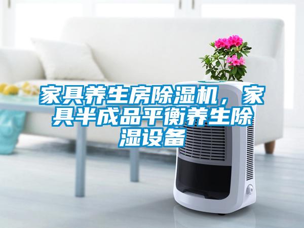 家具養(yǎng)生房除濕機(jī)，家具半成品平衡養(yǎng)生除濕設(shè)備