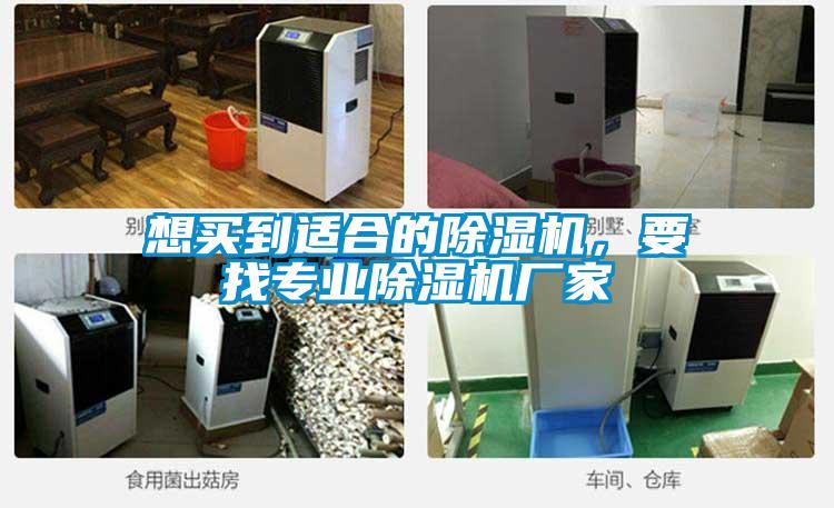 想買到適合的除濕機(jī)，要找專業(yè)除濕機(jī)廠家