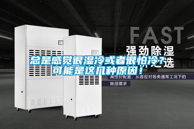 總是感覺很濕冷或者很怕冷？可能是這幾種原因！