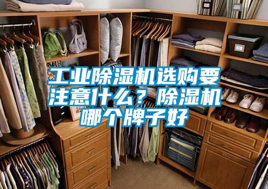 工業(yè)除濕機選購要注意什么？除濕機哪個牌子好
