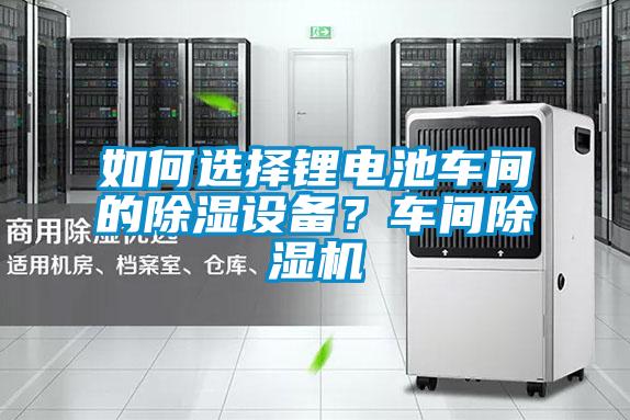 如何選擇鋰電池車間的除濕設(shè)備？車間除濕機(jī)