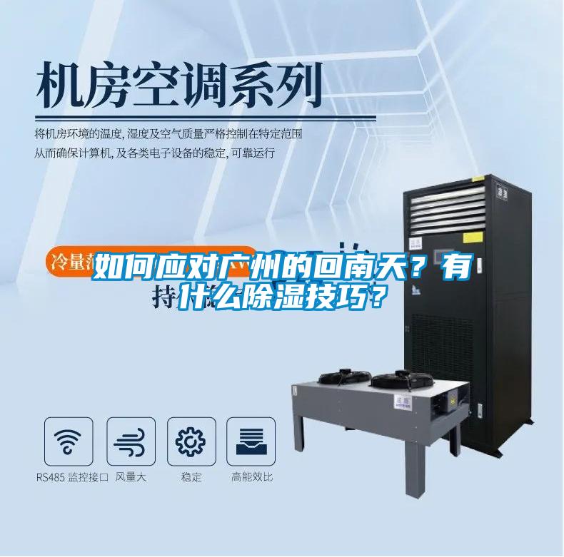 如何應(yīng)對廣州的回南天？有什么除濕技巧？