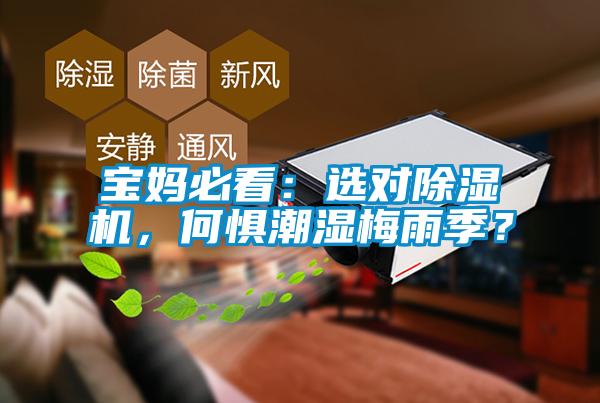 寶媽必看：選對除濕機(jī)，何懼潮濕梅雨季？
